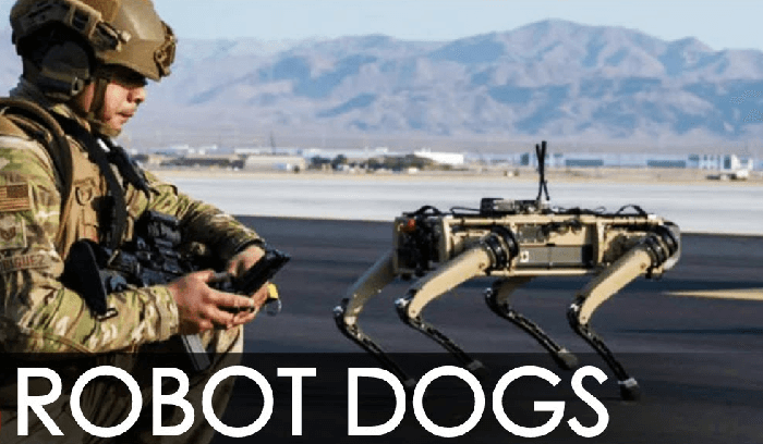 ROBOT-DOGS