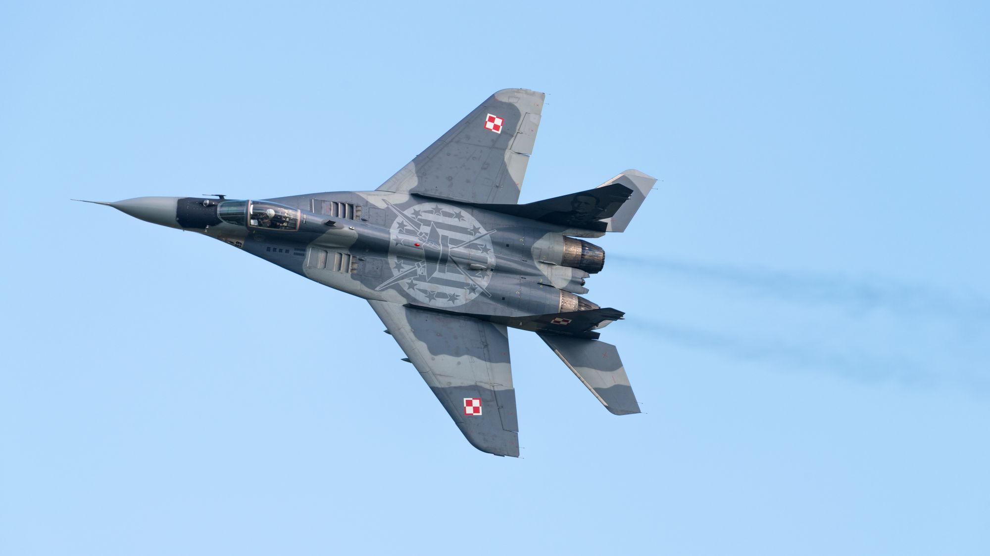 W książce czytamy, że sfrustrowana opóźnieniami Ameryki Polska zezłomowała 10 swoich MiG-29 i zostawiła je w lasach dla Ukrainy.