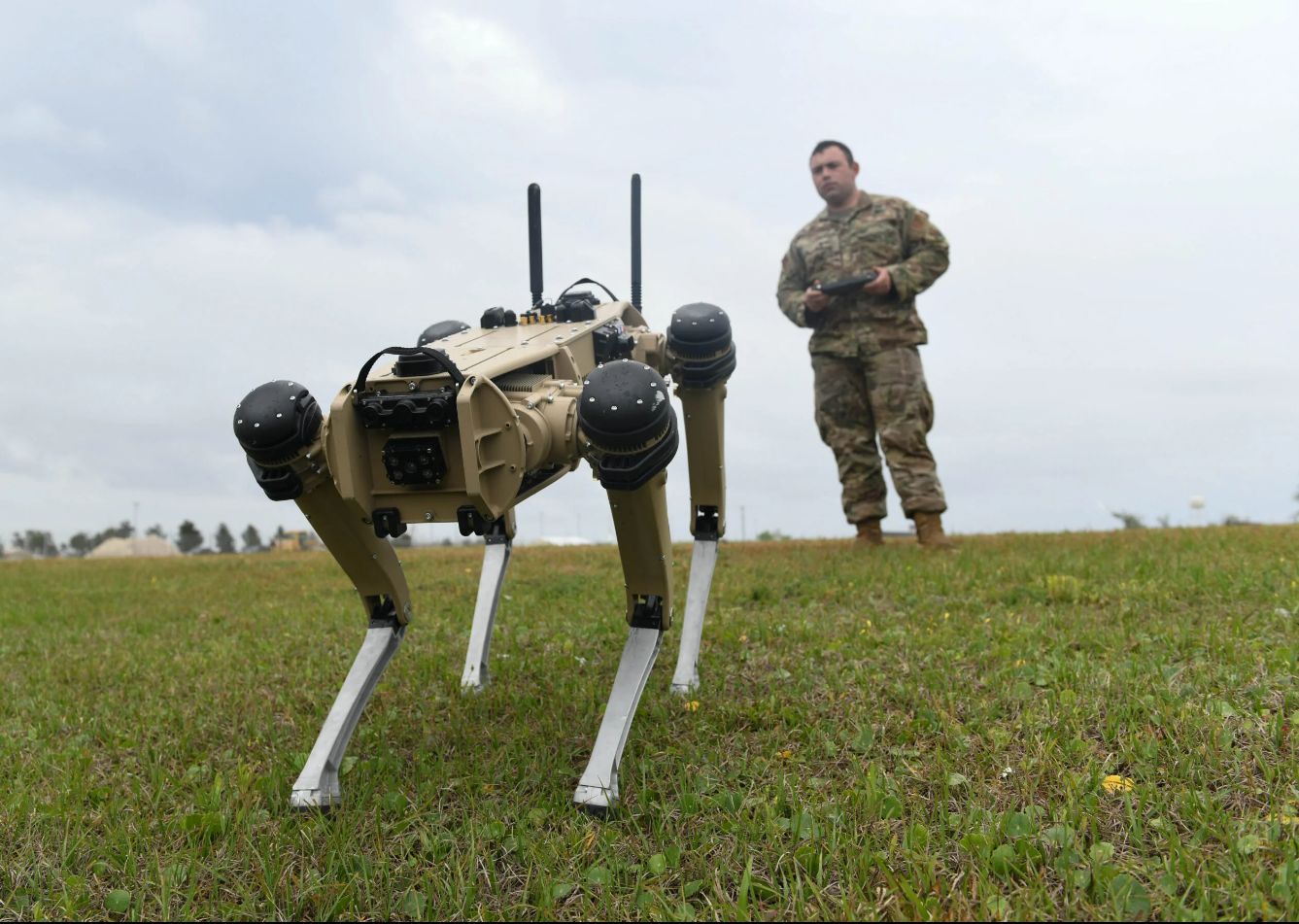 Unleashing the RoboDogs: China’s Alarming Move Puts US on High Alert